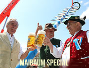 Maibaum-Special auf ganz-muenchen.de (©Foto. Martin Schmitz)